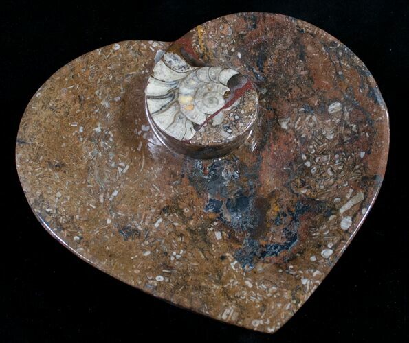 Heart Shaped Fossil Goniatite Dish #8999